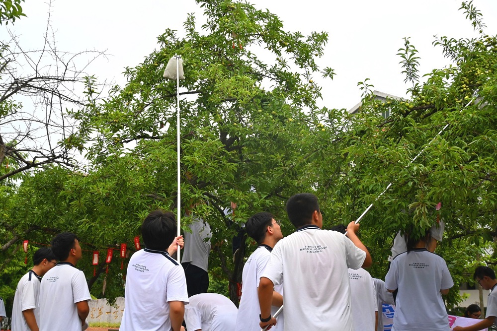DSC_0611_看图王_编辑