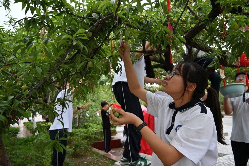 DSC_0349_看图王