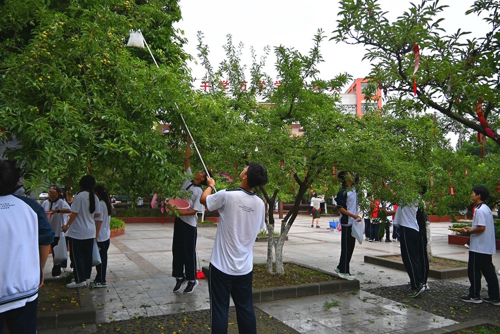 DSC_0201_看图王_编辑