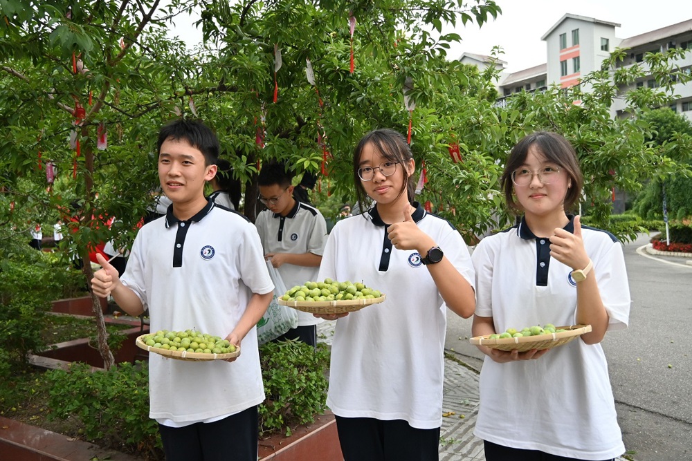 DSC_0395_看图王